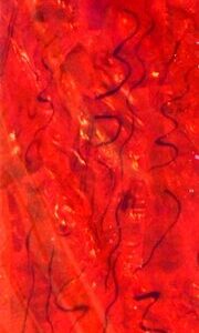 Muschelblatt pearl-orange