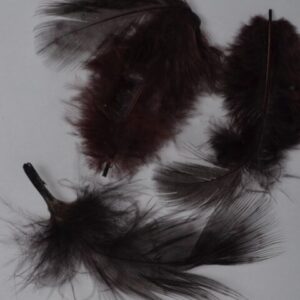 Federn für Nailartmotive- 3 Stück/Tüte schwarz/braun