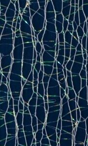 Gewebe für Nailartmotive weiß/multi-Schimmer